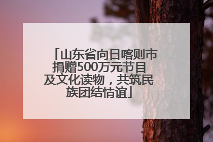 山东省向日喀则市捐赠500万元节目及文化读物，共筑民族团结情谊