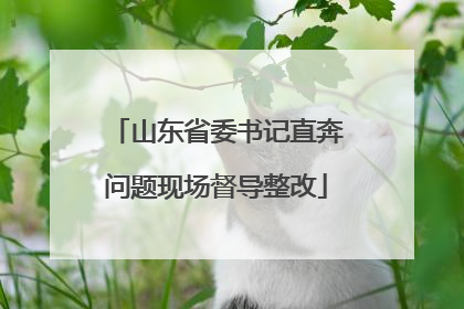 山东省委书记直奔问题现场督导整改