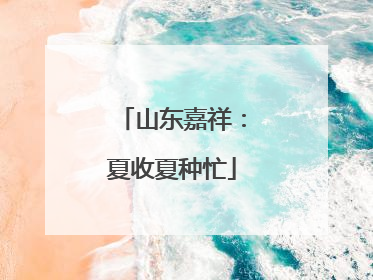 山东嘉祥：夏收夏种忙
