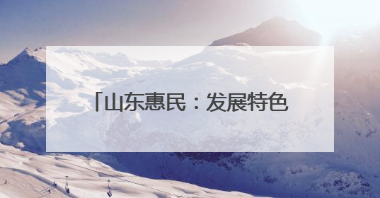 山东惠民：发展特色产业 赋能乡村振兴