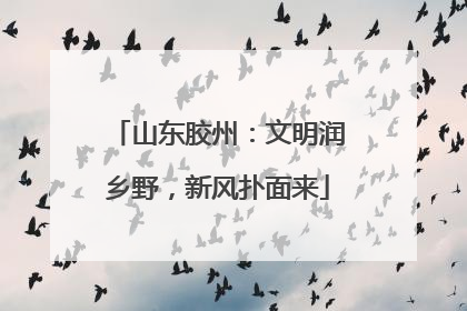 山东胶州：文明润乡野，新风扑面来