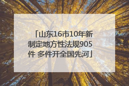 山东16市10年新制定地方性法规905件 多件开全国先河