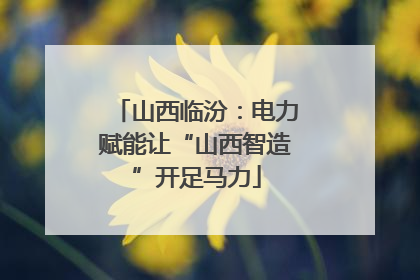 山西临汾：电力赋能让“山西智造”开足马力