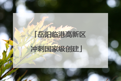 岳阳临港高新区冲刺国家级创建