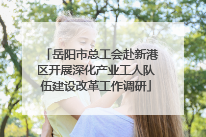 岳阳市总工会赴新港区开展深化产业工人队伍建设改革工作调研
