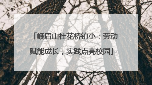 峨眉山桂花桥镇小：劳动赋能成长，实践点亮校园