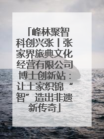 峰林聚智 科创兴张丨张家界旅典文化经营有限公司博士创新站：让土家织锦“智”造出非遗新传奇