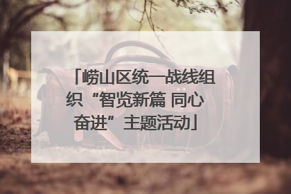 崂山区统一战线组织“智览新篇 同心奋进”主题活动