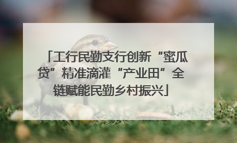 工行民勤支行创新“蜜瓜贷”精准滴灌“产业田”全链赋能民勤乡村振兴