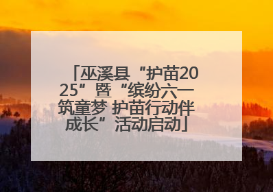 巫溪县“护苗2025”暨“缤纷六一筑童梦 护苗行动伴成长”活动启动