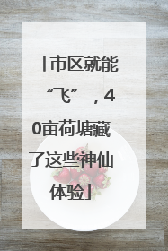 市区就能“飞”，40亩荷塘藏了这些神仙体验