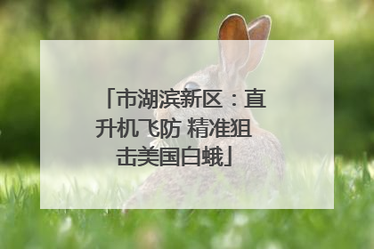 市湖滨新区：直升机飞防 精准狙击美国白蛾