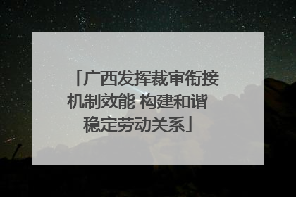 广西发挥裁审衔接机制效能 构建和谐稳定劳动关系