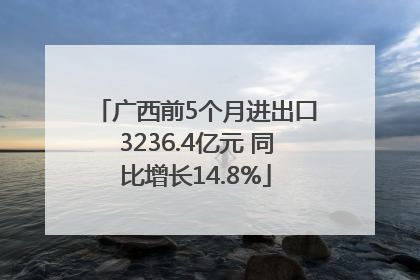 广西前5个月进出口3236.4亿元 同比增长14.8%