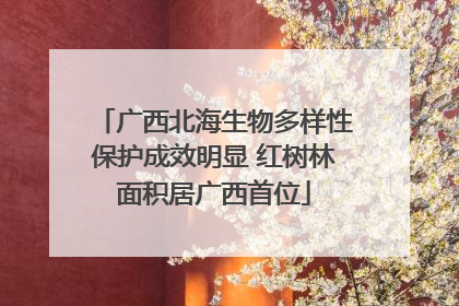 广西北海生物多样性保护成效明显 红树林面积居广西首位