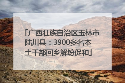 广西壮族自治区玉林市陆川县：3900多名本土干部回乡解纷促和