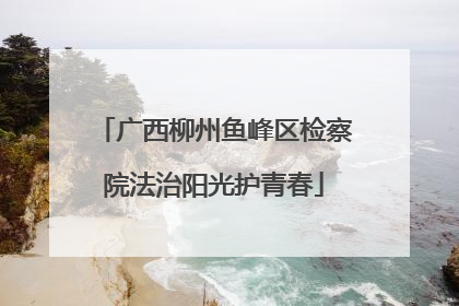 广西柳州鱼峰区检察院法治阳光护青春