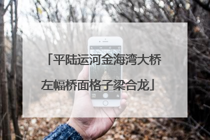 平陆运河金海湾大桥左幅桥面格子梁合龙