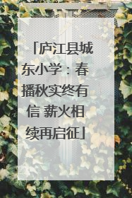 庐江县城东小学：春播秋实终有信 薪火相续再启征