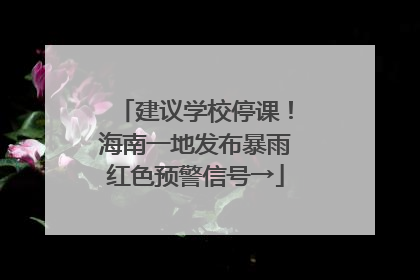 建议学校停课！海南一地发布暴雨红色预警信号→
