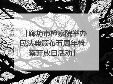 廊坊市检察院举办民法典颁布五周年检察开放日活动