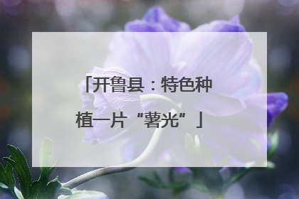 开鲁县：特色种植一片“薯光”