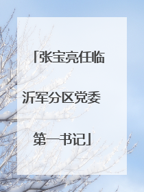张宝亮任临沂军分区党委第一书记