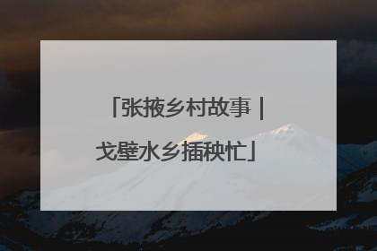 张掖乡村故事｜戈壁水乡插秧忙