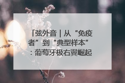 弦外音｜从“免疫者”到“典型样本”：葡萄牙极右翼崛起背后的欧洲困局