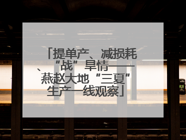 提单产、减损耗、“战”旱情——燕赵大地“三夏”生产一线观察