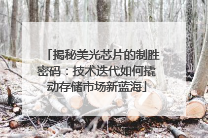 揭秘美光芯片的制胜密码：技术迭代如何撬动存储市场新蓝海