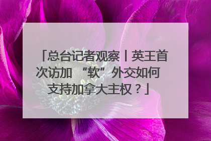 总台记者观察丨英王首次访加 “软”外交如何支持加拿大主权？
