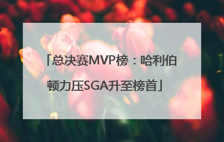 总决赛MVP榜：哈利伯顿力压SGA升至榜首
