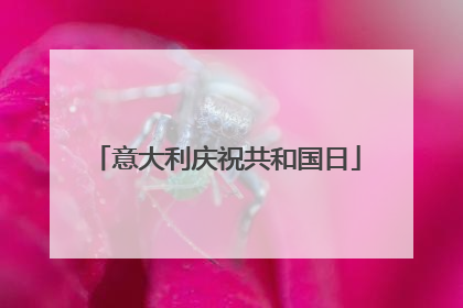 意大利庆祝共和国日