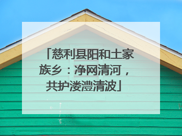 慈利县阳和土家族乡：净网清河，共护溇澧清波