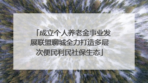 成立个人养老金事业发展联盟聊城全力打造多层次便民利民社保生态