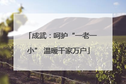 成武：呵护“一老一小” 温暖千家万户