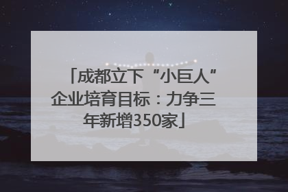成都立下“小巨人”企业培育目标：力争三年新增350家