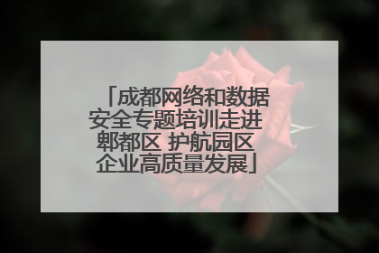 成都网络和数据安全专题培训走进郫都区 护航园区企业高质量发展