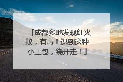 成都多地发现红火蚁，有毒！遇到这种小土包，绕开走！