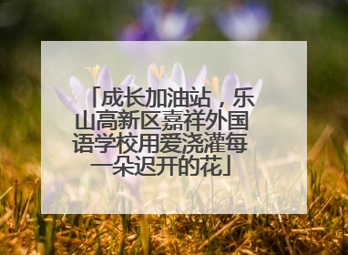 成长加油站，乐山高新区嘉祥外国语学校用爱浇灌每一朵迟开的花