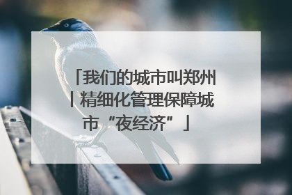 我们的城市叫郑州丨精细化管理保障城市“夜经济”
