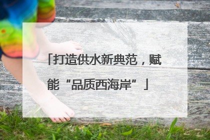 打造供水新典范，赋能“品质西海岸”
