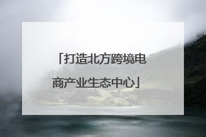 打造北方跨境电商产业生态中心