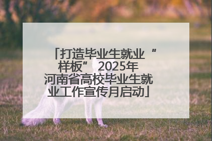 打造毕业生就业“样板” 2025年河南省高校毕业生就业工作宣传月启动