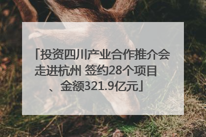 投资四川产业合作推介会走进杭州 签约28个项目、金额321.9亿元