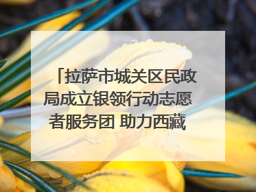 拉萨市城关区民政局成立银领行动志愿者服务团 助力西藏银发经济发展