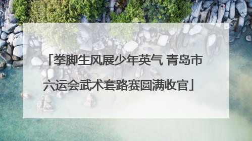 拳脚生风展少年英气 青岛市六运会武术套路赛圆满收官