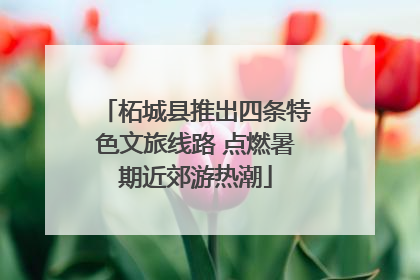 柘城县推出四条特色文旅线路 点燃暑期近郊游热潮