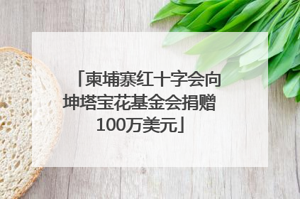 柬埔寨红十字会向坤塔宝花基金会捐赠100万美元